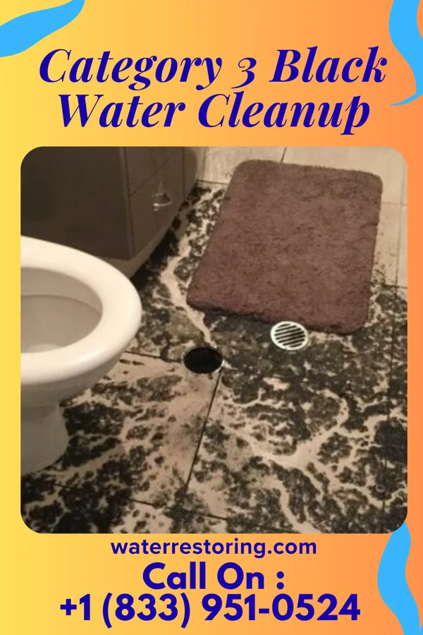 Category 3 Black Water Cleanup in Buena, NJ