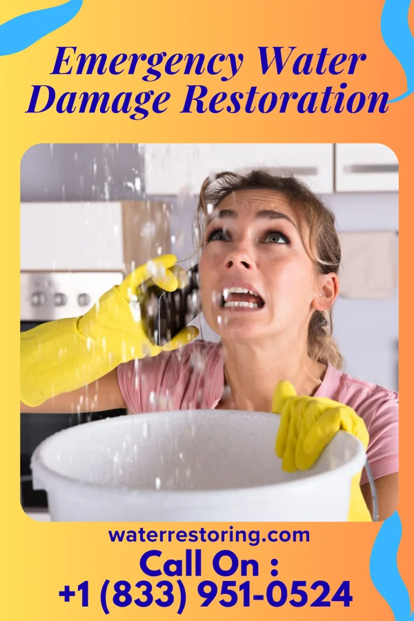 Emergency Water Damage Restoration in Buena, NJ