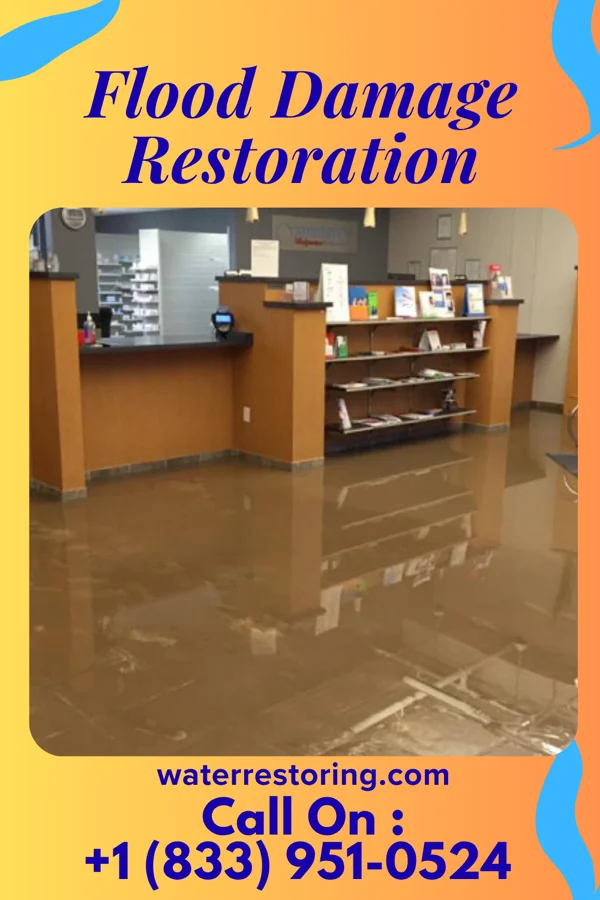 Flood Damage Restoration in Buena, NJ