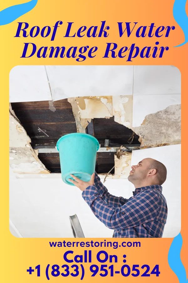 Roof Leak Water Damage Repair in Buena, NJ