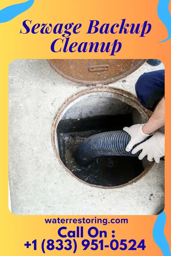 Sewage Backup Cleanup in Buena, NJ