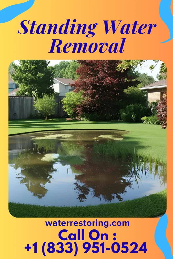 Standing Water Removal in Buena, NJ